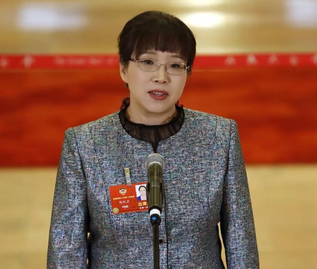 全国政协委员赵红卫:拥有自主知识产权的"复兴号"处于
